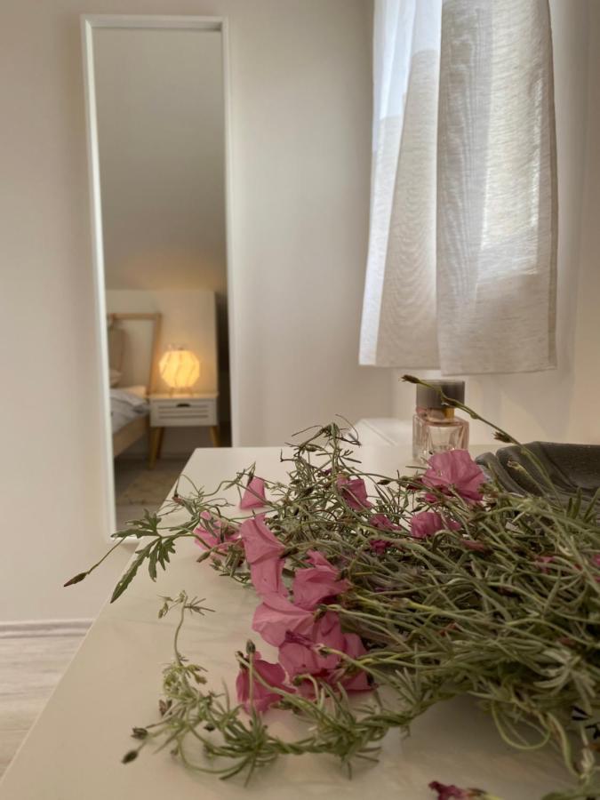 Apartment Vital نيغيزيني المظهر الخارجي الصورة